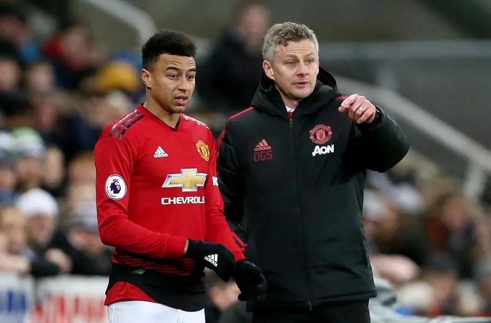 广东广州豹 广东广州豹