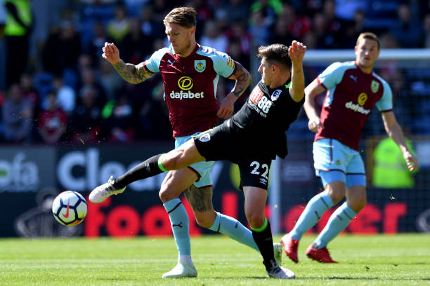 差異和多樣 差異和多樣