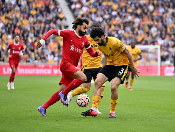 李在城與美 李在城與美